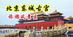 黑丝袜高潮爆艹中国北京-东城古宫旅游风景区