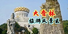 少妇掰逼中国浙江-绍兴大香林旅游风景区